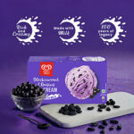 Kwallity Walls Blackcurrant & Raisins Ice Cream - Image 2